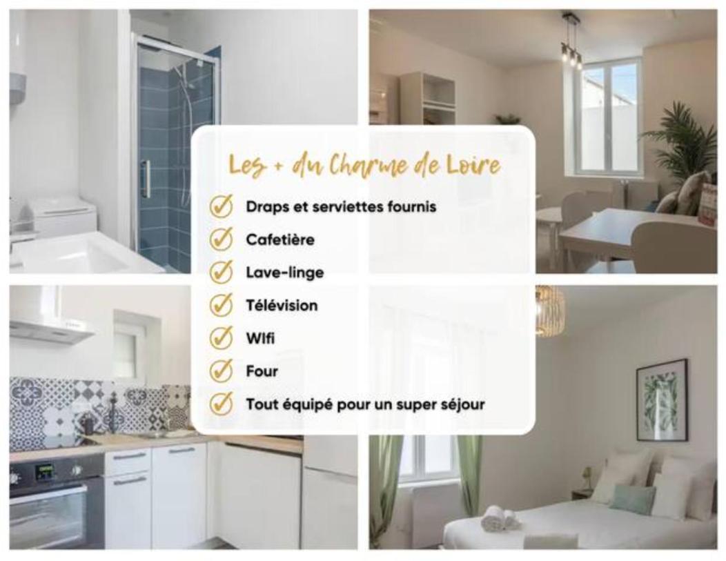 Charme De Loire A St Ay *T2* Apartment Saint-Ay Luaran gambar