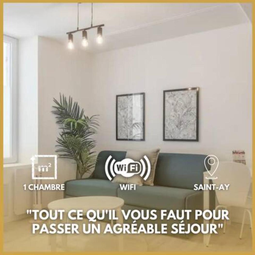 Charme De Loire A St Ay *T2* Apartment Saint-Ay Luaran gambar